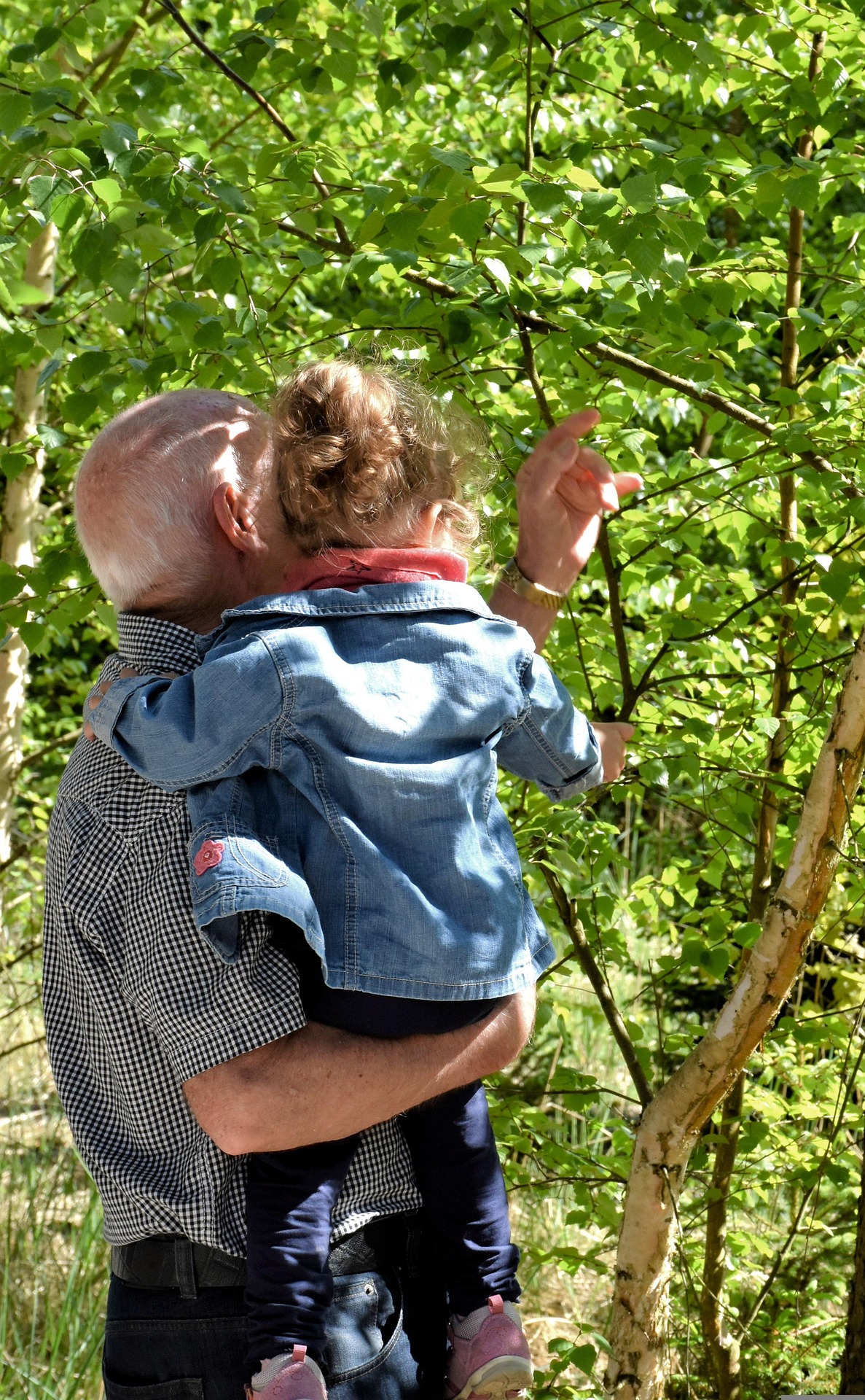 Accompagnement s&eacute;nior &agrave; domicile HOMYTHIS